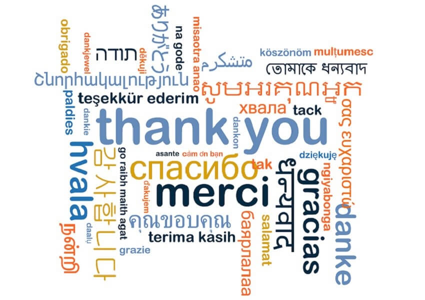 Thank you - Professional Translator Registration Form